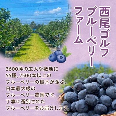 【摘みたて!】完熟極甘ブルーベリー(生果)600g・N067