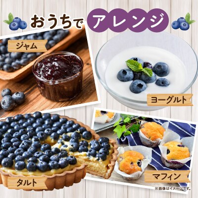 【摘みたて!】完熟極甘ブルーベリー(生果)600g・N067