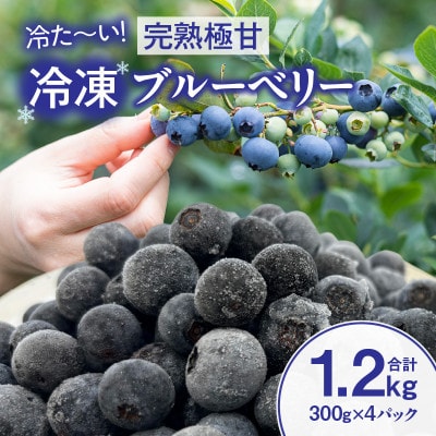 【冷た～い】完熟極甘ブルーベリー(冷凍)1.2kg・N070