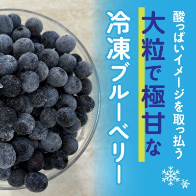 【冷た～い】完熟極甘ブルーベリー(冷凍)1.2kg・N070