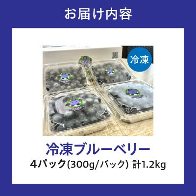 【冷た～い】完熟極甘ブルーベリー(冷凍)1.2kg・N070