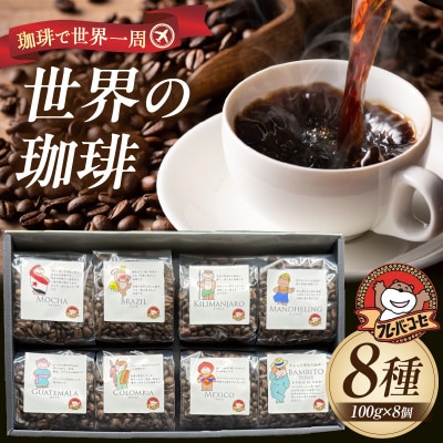 珈琲で世界一周!世界の珈琲　ギフトボックス入り[8種800g(1種100g×8個)]・F034