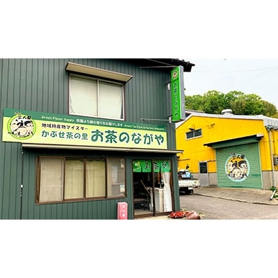 【新茶予約受付開始】西尾市吉良町お茶のながや新茶2本セットR6年5月上旬発送開始予定・O009-12
