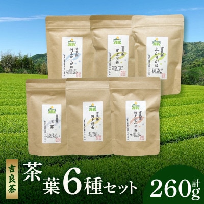 【吉良茶】味わいの違うお茶を飲み比べ!　茶葉6種セット　計260g・O057