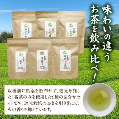 【吉良茶】味わいの違うお茶を飲み比べ!　茶葉6種セット　計260g・O057