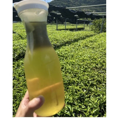 【吉良茶】水出し専用ティーバッグ創健番茶　10g×15p　5パック計75個・O058