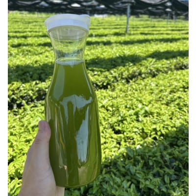 【吉良茶】粉末かぶせ茶 スティックタイプ　0.5g×100本・O059