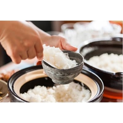 令和5年産おのださんちのハッピー米【特別栽培米あいちのかおり】玄米5kg×2・O012-19