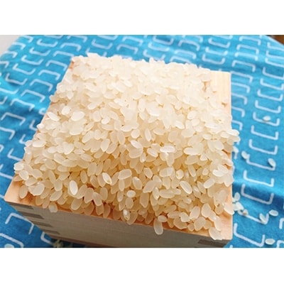 【令和7年産】おのださんちのハッピー米《特別栽培米コシヒカリ》白米10kg・O017-27