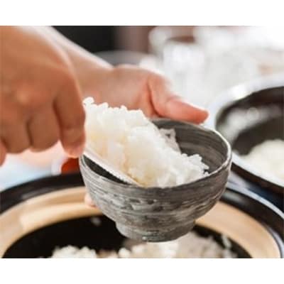 【令和7年産】おのださんちのハッピー米《特別栽培米コシヒカリ》白米10kg・O017-27