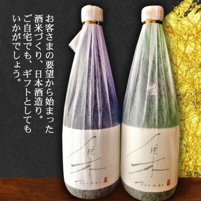 日本酒＜集-Tsudoi-＞ 2種飲み比べセット(純米大吟醸)O035-29