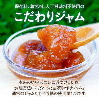 【9月以降順次発送】愛知県産　完熟とろあまいちじく使用　ごろっとジャム・A201