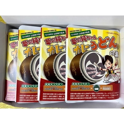 夢の純ちゃんカレーうどんの素　【210g×4袋】1箱・S027-11