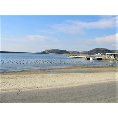 三河の民宿「鈴喜館」ペア宿泊券(1泊2食付き)・S025