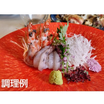 【活きてるみたい!】お刺身でも食べられる三河一色産天然車海老冷凍500g中サイズ12〜17尾M081