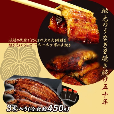 三河一色産　うなぎ手焼き【蒲焼パック3尾(150g～180g/尾)】・U034-34