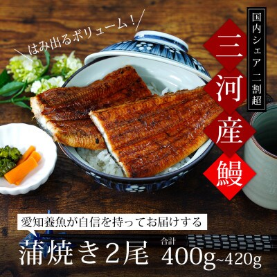 三河産 特大うなぎ「蒲焼冷凍×2尾」A090-14
