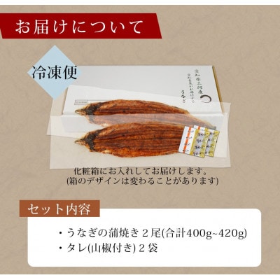 三河産 特大うなぎ「蒲焼冷凍×2尾」A090-14