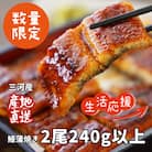 生産者「愛知養魚」がお届けする三河産うなぎ「蒲焼冷凍2尾」(合計240g～250g)・A092-12