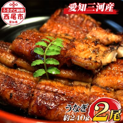 三河産うなぎ「蒲焼冷凍2尾(合計240~250g)生産者「愛知養魚」がお届け.A092-11