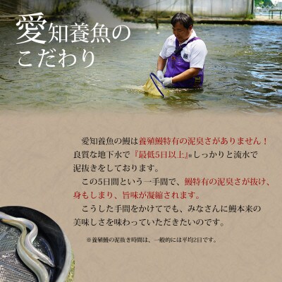 三河産うなぎ「蒲焼冷凍2尾(合計240~250g)生産者「愛知養魚」がお届け.A092-11