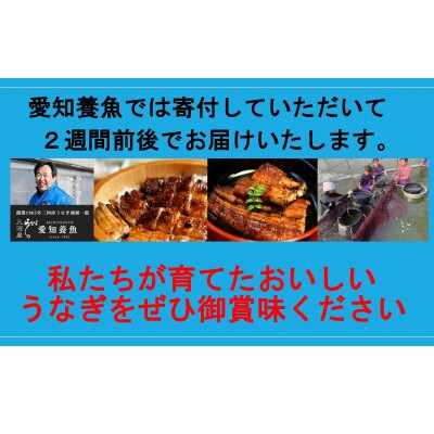 三河産うなぎ「蒲焼冷凍2尾(合計240~250g)生産者「愛知養魚」がお届け.A092-11
