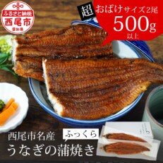 三河産うなぎ「おばけサイズ蒲焼2尾」合計500g以上・A116-17
