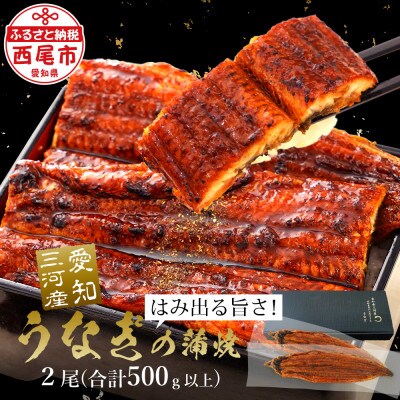 【入金確認後7~10日で発送】三河産うなぎ「おばけサイズ蒲焼2尾」冷凍 500g以上・A116-18