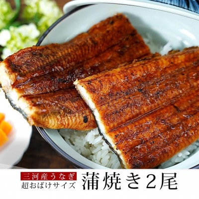 【期間限定】三河産鰻「超おばけサイズ蒲焼2尾」計500g以上A116-19