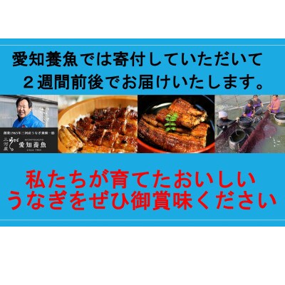 三河産うなぎ「おばけサイズ蒲焼2尾」合計500g以上 A116-16