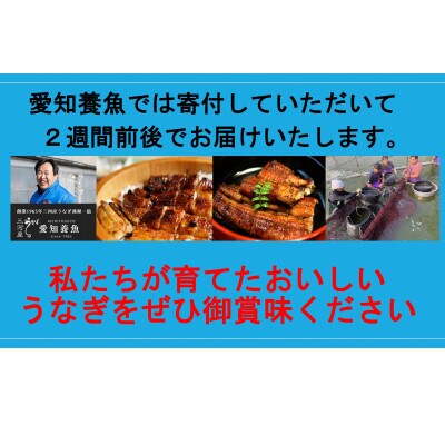鰻の長蒲焼 冷凍冷蔵 1本0gの鰻を加工 正味約125g 2枚 お中元にも 三河は一色の厳選した活けうなぎを豊洲市場の鰻職人が丁寧に蒲焼に仕上げた逸品 真空パック そのまま沸騰した湯に入れるか電子レンジで温めてください 袋入りの山椒とタレ付 蒲焼き ラウンド