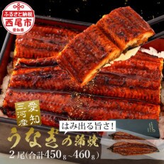 三河産うなぎ　おばけ蒲焼冷凍2尾(合計450～460g)・A126-17