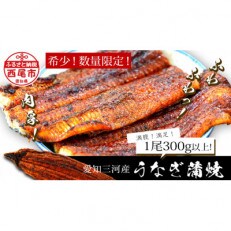 規格外:三河産うなぎ　「蒲焼き冷凍1尾(300グラム以上)」　A135 | ふるさと納税のお礼品