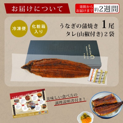 規格外:三河産鰻蒲焼き冷凍×1尾(300g以上)A135-14