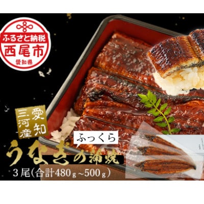 三河産うなぎ「蒲焼き大サイズ3尾(480グラム～500グラム)」・A157-21