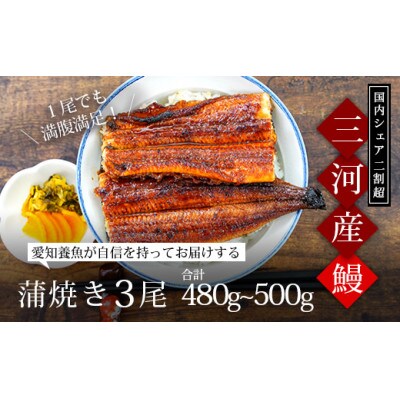 三河産うなぎ「蒲焼き大サイズ3尾(480グラム～500グラム)」・A157-21