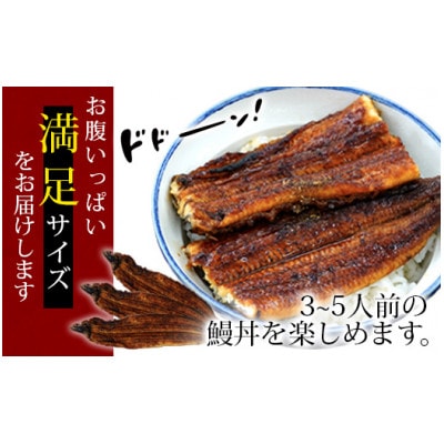 三河産うなぎ「蒲焼き大サイズ3尾(480グラム～500グラム)」・A157-21