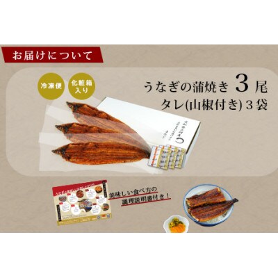 三河産うなぎ「蒲焼き大サイズ3尾(480グラム～500グラム)」・A157-21