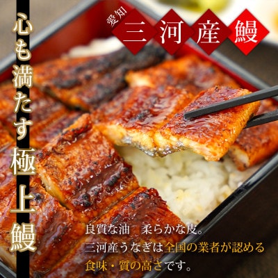 三河産鰻「蒲焼冷凍×5尾(650g以上)+鰻肝串2本付×2袋」・A184-30