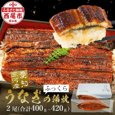 【定期便】三河産うなぎ超特大蒲焼き2尾(合計400～420g)×3回(R7年1～3月配送)・A191