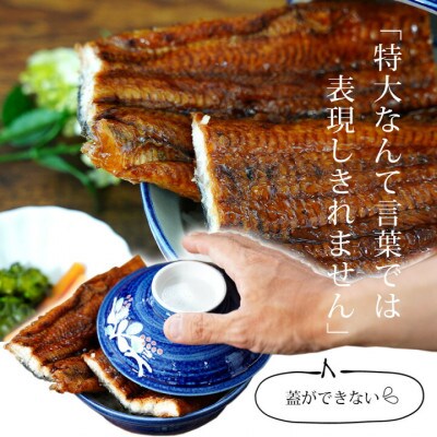 【定期便】三河産うなぎ超特大蒲焼き2尾(合計400～420g)×3回(R7年1～3月配送)・A191