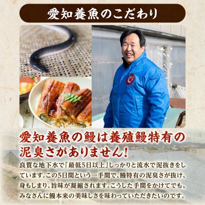 【定期便】三河産うなぎ超特大蒲焼き2尾(合計400～420g)×3回(R7年1～3月配送)・A191