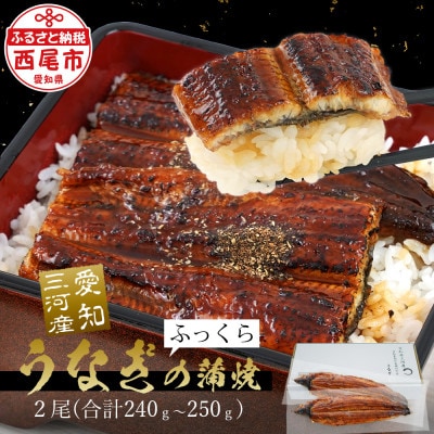 【お中元ギフト】「愛知養魚」の三河産鰻「蒲焼冷凍2尾」計240g～250g・A092-15-G1