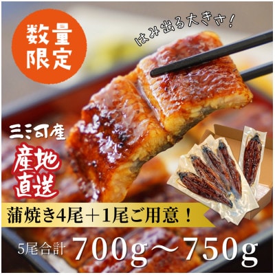 三河産うなぎ「蒲焼大サイズ4尾+1尾(計700～750g)」・A202