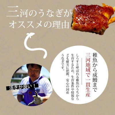 三河産うなぎ「蒲焼大サイズ4尾+1尾(計700～750g)」・A202