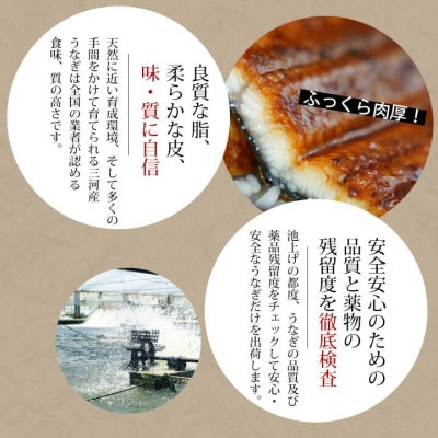 三河産うなぎ「蒲焼大サイズ4尾+1尾(計700～750g)」・A202