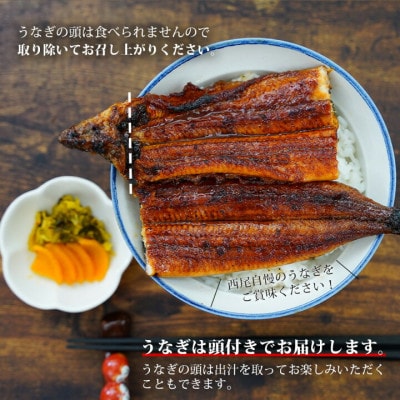 三河産うなぎ「蒲焼大サイズ4尾+1尾(計700～750g)」・A202