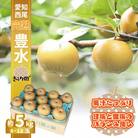 【数量限定】<きらり園>　完熟　豊水梨　5㎏・K086-17-1