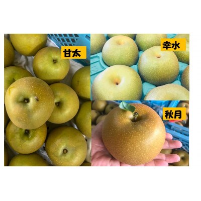 【数量限定】＜きらり園＞　旬の和梨　何が届くかお楽しみ　品種おまかせ　5kg・K253-17