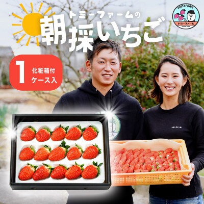 <章姫> 完熟いちご 420g以上(9から15粒)×1ケース・T070-13